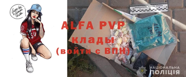 шишки Абаза