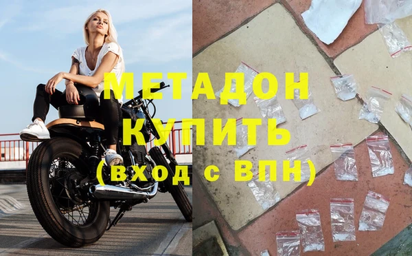 шишки Абаза
