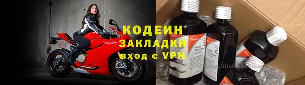 шишки Абаза