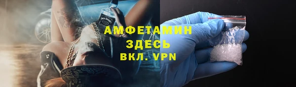 шишки Абаза