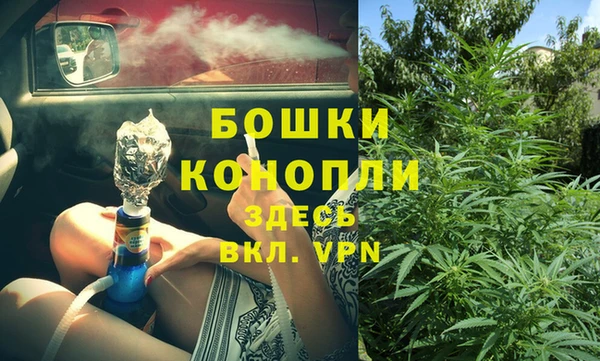 шишки Абаза