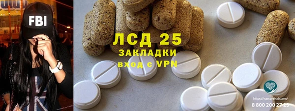 шишки Абаза