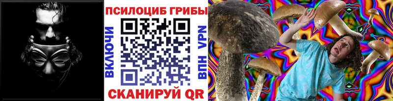 mega как зайти  Алдан  Галлюциногенные грибы MAGIC MUSHROOMS 