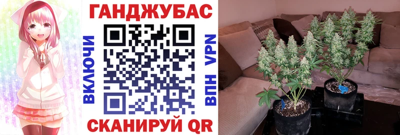Конопля Bruce Banner  дарнет шоп  Алдан 